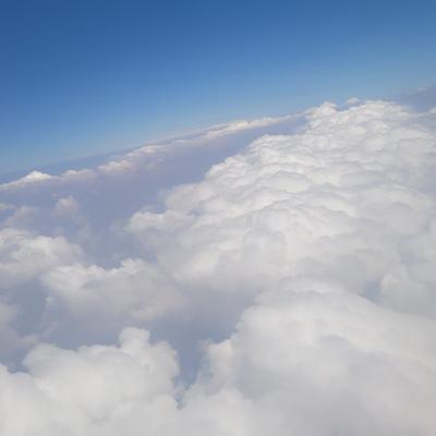 Community member profile picture 8