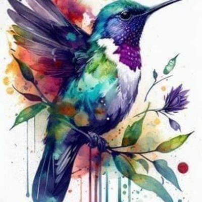 Community member profile picture 8