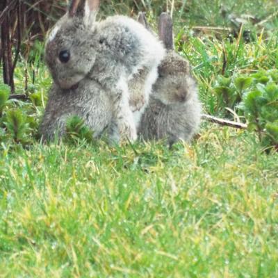 Community member profile picture 9