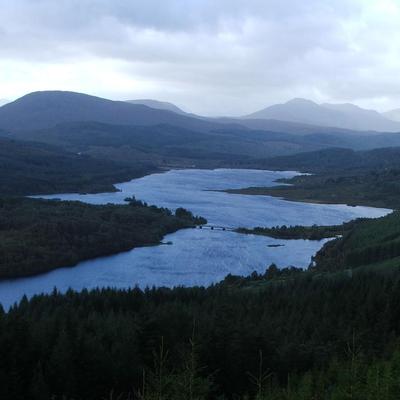 Community member profile picture 8