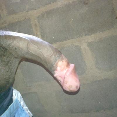 Community member profile picture 3