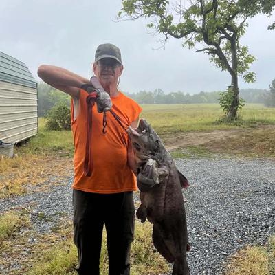 Community member profile picture 5