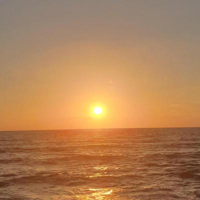 Community member profile picture 9