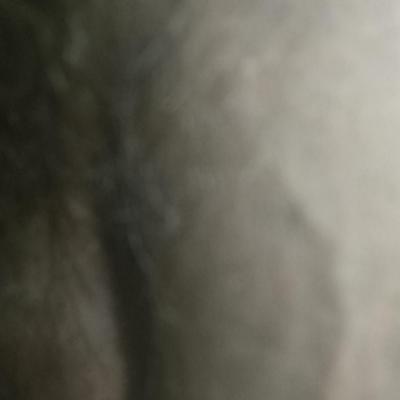 Community member profile picture 1