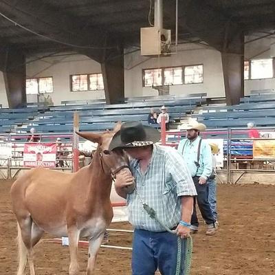 Community member profile picture 3