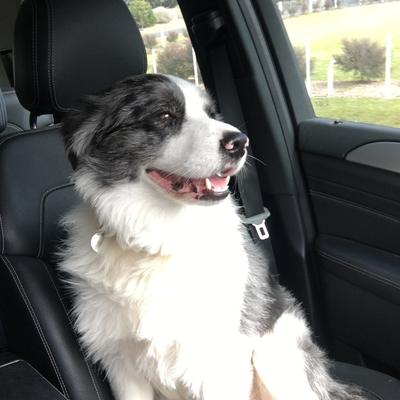 Community member profile picture 1