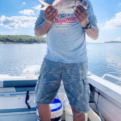 Community member profile picture 1