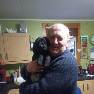 Community member profile picture