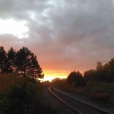 Community member profile picture 1