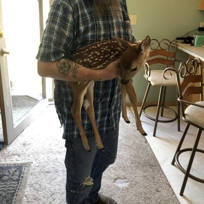 Community member profile picture