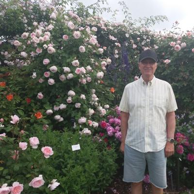 Community member profile picture 5