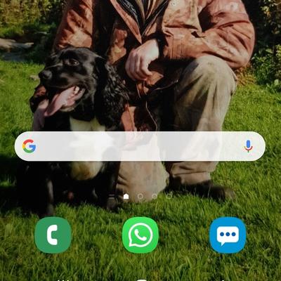 User 5