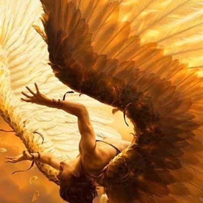 Community member profile picture 5