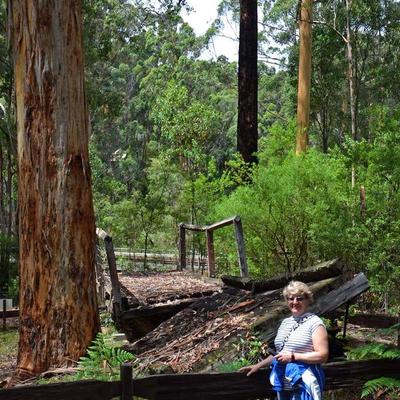 Community member profile picture 10