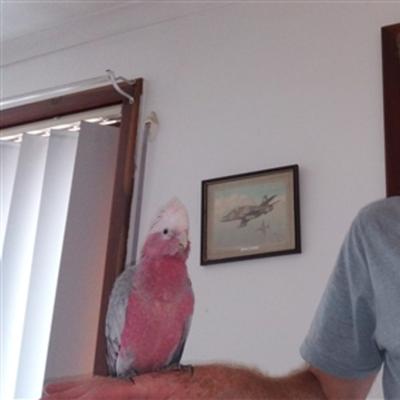 Community member profile picture