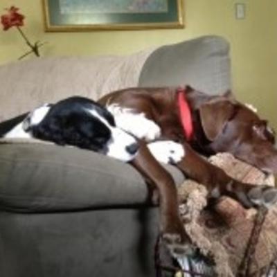Community member profile picture 6