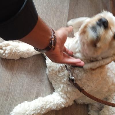 Community member profile picture 1