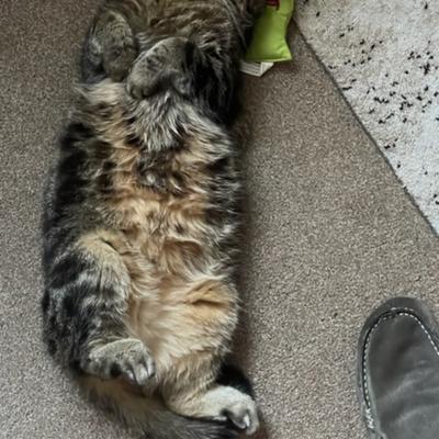 Community member profile picture