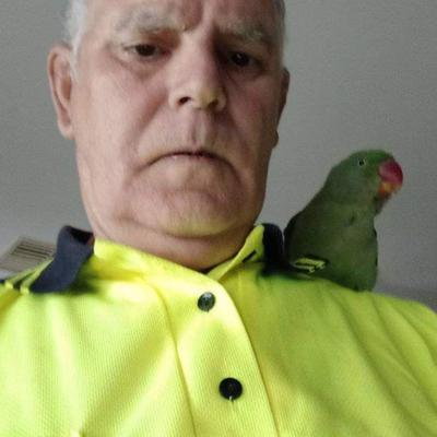 Community member avatar