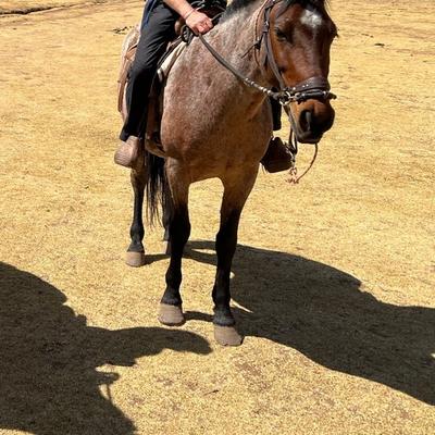 Community member profile picture