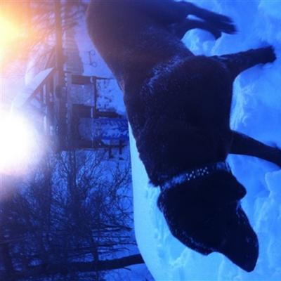 Community member avatar