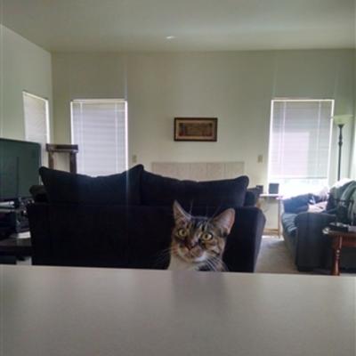 Community member avatar