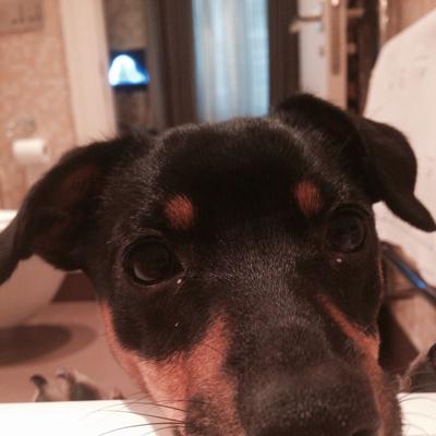 Community member profile picture 7