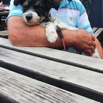 Community member profile picture 9