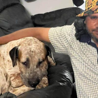 Community member profile picture