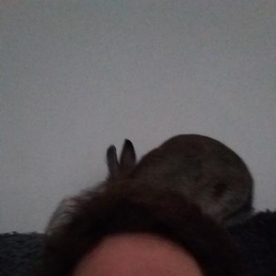 Community member profile picture