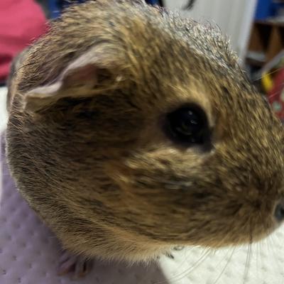 Community member profile picture