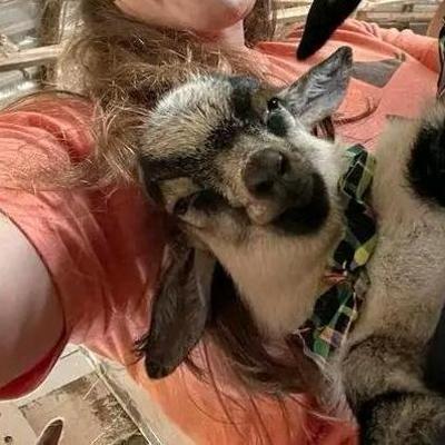 Community member profile picture