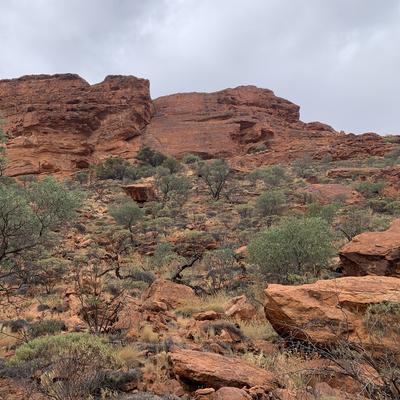 Community member profile picture 5