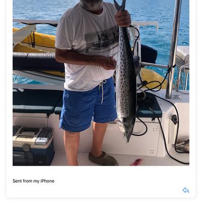 Community member profile picture 5