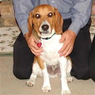 Community member profile picture 9