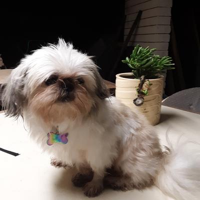 Community member profile picture