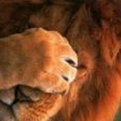 Community member profile picture 5