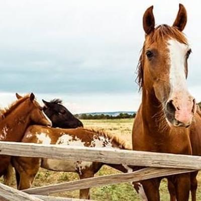 Community member profile picture 5