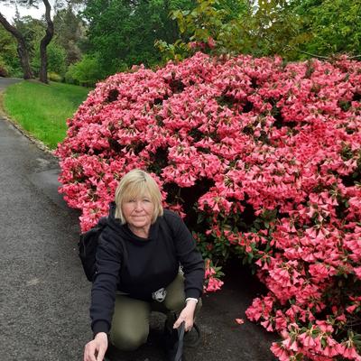 Community member profile picture 10