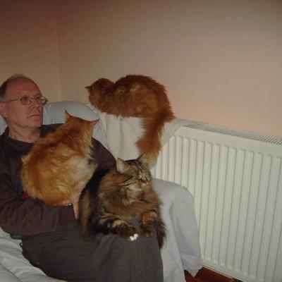 Community member profile picture 9