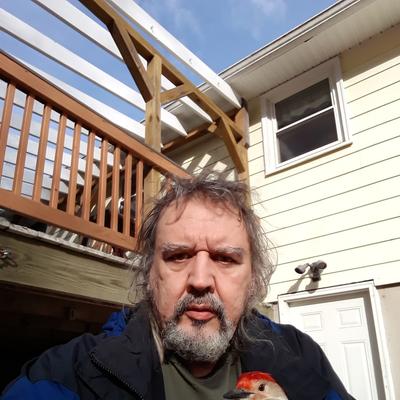 Community member profile picture