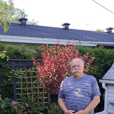 Community member profile picture