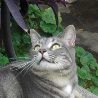 Community member profile picture 8