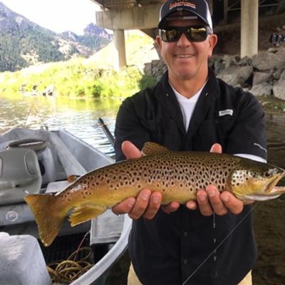 Community member profile picture 3