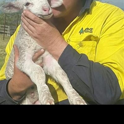 Community member profile picture