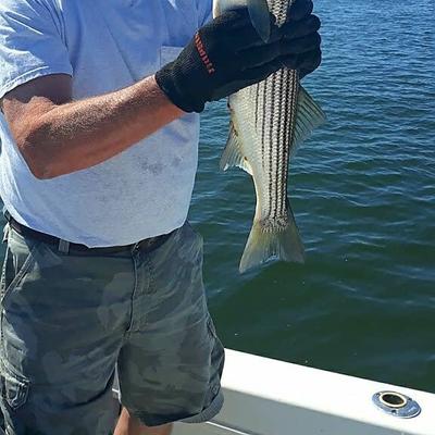 Community member avatar