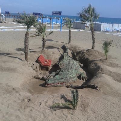 Community member profile picture 8