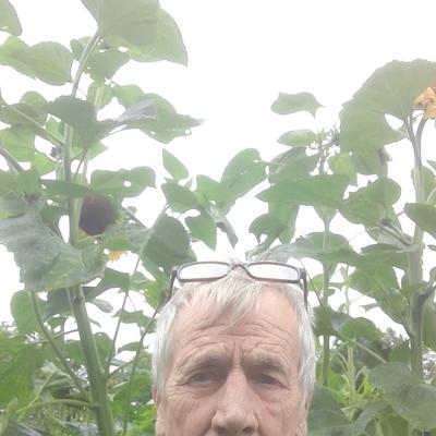 Community member profile picture 1