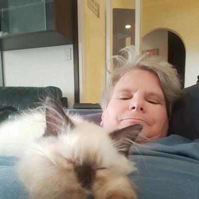 Community member profile picture 4