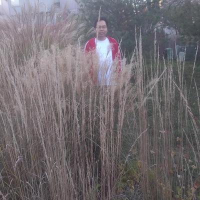 Community member profile picture 3